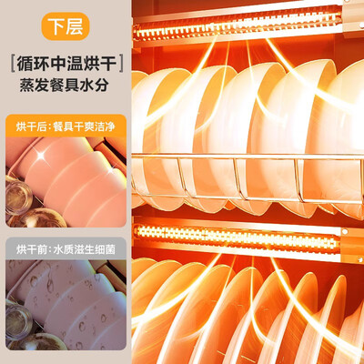 华帝的立式消毒柜怎么样（华帝 H280 消毒柜 家用立式大容量立式消毒柜质量如何）