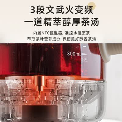 小熊（Bear）煮茶器 ZCQ-A05S1 