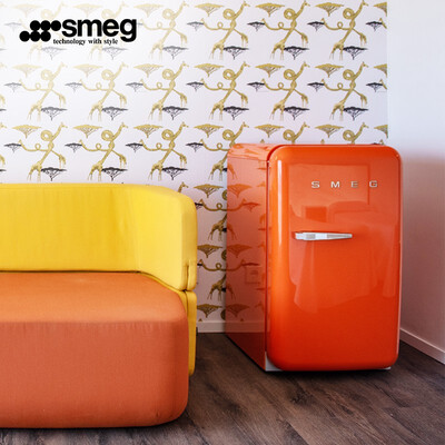 SMEG FAB5 复古迷你冰箱靠谱吗,揭秘内幕（smeg冰箱怎么调节温度）-图片4