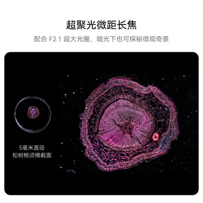 HUAWEI Pura 70 Pro+ 光织银 16GB+1TB 超高速风驰闪拍 超聚光微距长焦