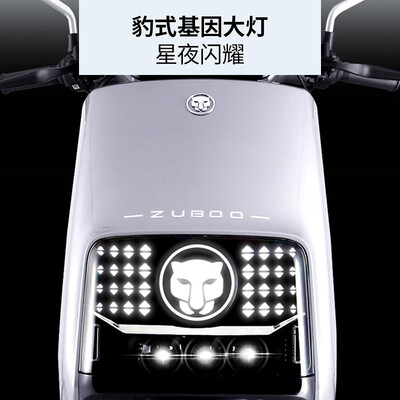 五星钻豹zub电动车怎么样（五星钻豹ZB1200DT-46A电动车质量如何）-图片3