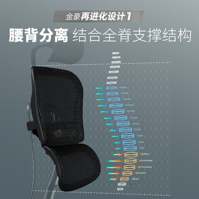 金豪b和e有啥区别（Ergonor 金豪B2 – 舒适电竞椅人体工学椅好不好）-图片2