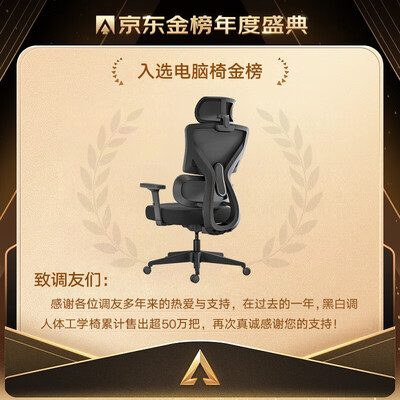 黑白调 P5 双背款 人体工学电脑椅体验效果好吗（黑白调电脑椅哪个型号好用）-图片6