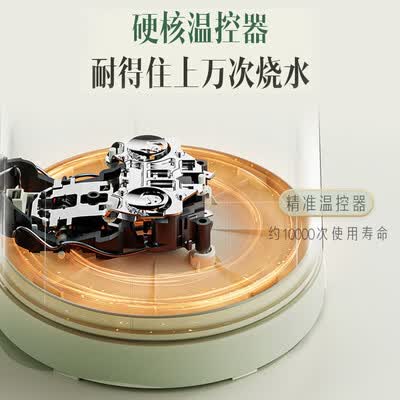 九阳（Joyoung） 热水壶烧水壶电水壶 1.7L  K17FD-W510