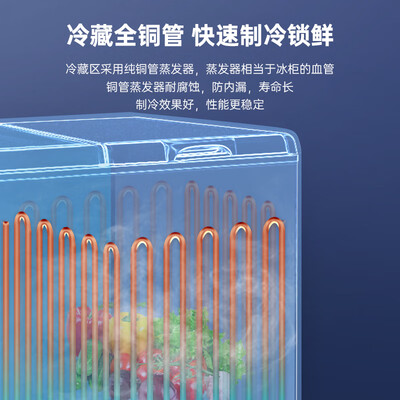 澳柯玛 BCD-257CHN双温冰柜评测说真相（澳柯玛双温冰柜怎么调温度视频讲解）-图片2
