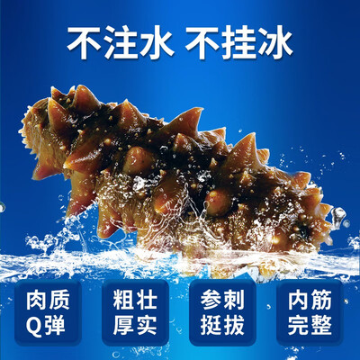 不可错过！海洋世家即食海参的8大震撼功能！