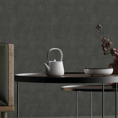 电陶炉和煮茶炉的区别(小坐 XZ-Z1 知炉电陶炉 家用煮茶器光波炉质量如何)-图片1