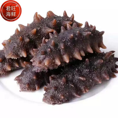 看看君旺海鲜即食海参的强大功能怎么样！