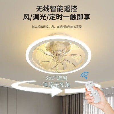 雷士吸顶风扇灯米家智控摇头款吊扇灯质量如何（雷士吊扇灯怎么清洗扇叶）-图片3