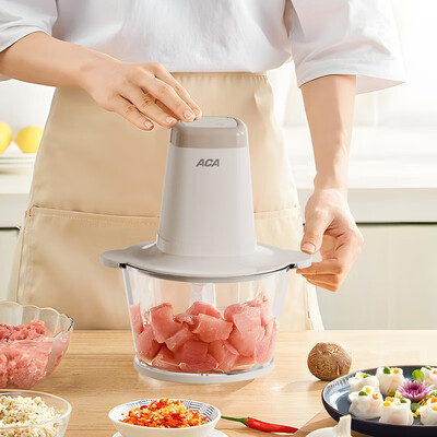 北美电器（ACA）ALY-G20QS04J 电动绞肉机