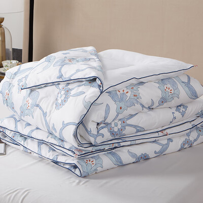 金丝莉 KINTHERI 大豆蚕丝子母被 JB-1258 200×230cm