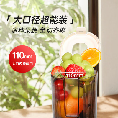 榨汁机原汁机区别（BRUNO 原汁机 家用榨汁机 多功能冷压果汁机质量如何）-图片4