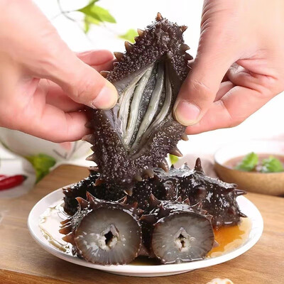 创鲜港即食海参靠谱吗？揭秘真实用户的心声！