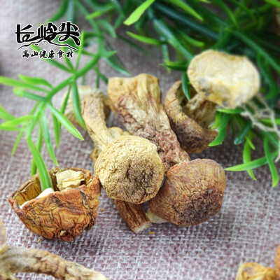长岭尖 高山姬松茸100g 袋装