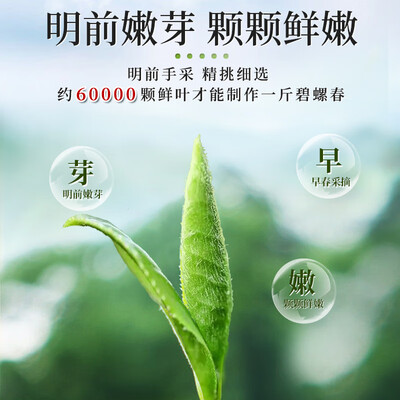 绿茶和白莲花的区别（绿茶好不好）-图片1