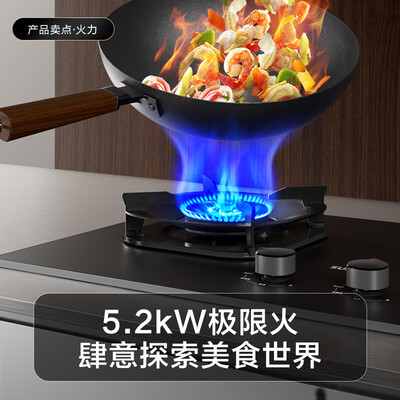 苏泊尔燃气灶哪个系列好（苏泊尔 DB59 防爆天然气双灶 5.2kW大火力燃气灶体验效果好吗）-图片5