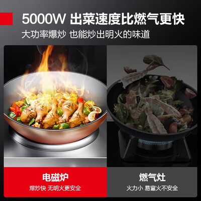 德玛士电磁炉怎么样(德玛仕 DEMASHI TC-100A2 双灶电磁炉 5000W商用电磁炉到底如何,值得入手吗)-图片3