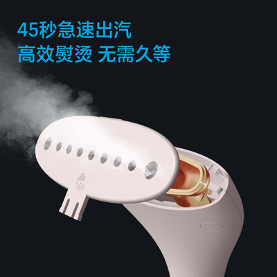 飞科（FLYCO） 挂烫机      FI-9822  FI-9823