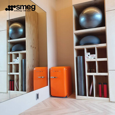 SMEG FAB5 复古迷你冰箱靠谱吗,揭秘内幕（smeg冰箱怎么调节温度）-图片2