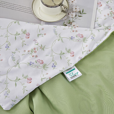 路易卡罗（Louis Kellog）晨曦物语天丝被 LK-8835