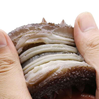 看看君旺海鲜即食海参的强大功能怎么样！