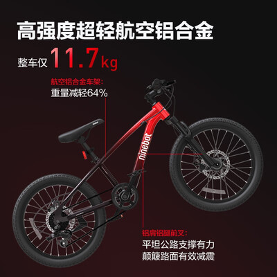九号（Ninebot） 20英寸 童车（6-12岁）