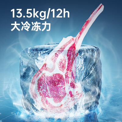 澳柯玛BC/BD-323NE冷柜到底如何,值得入手吗（澳柯玛冷柜怎么调温度视频）-图片1
