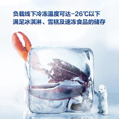 新飞冰柜这个牌子怎么样（新飞 Frestec BC/BD-201KHAT 201升冷柜家用商用家用冰柜值得手入吗）-图片4