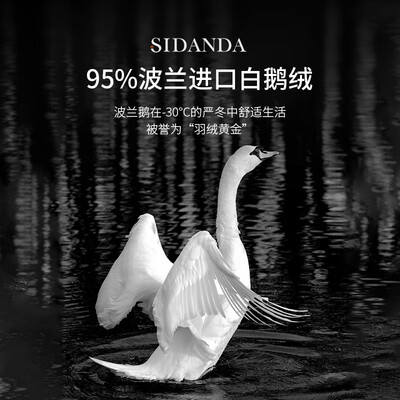 SIDANDA波兰95%白鹅绒羽绒被1205g填充值得手入吗(sidanda羽绒被与水星羽绒被哪个好)-图片1