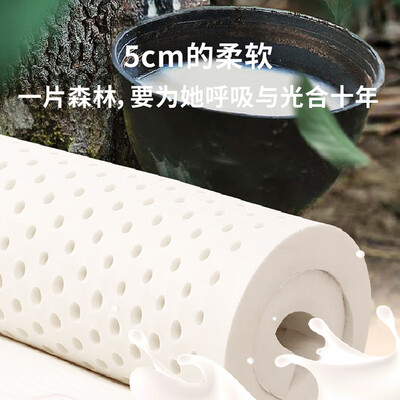 京东京造森享乳胶床垫1.5×2米质量如何（京东京造乳胶床垫和金橡树乳胶哪个好）-图片6