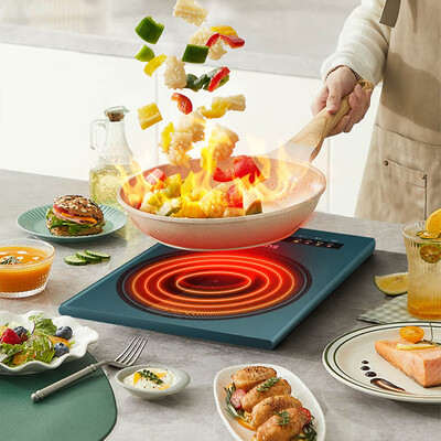 苏泊尔（SUPOR）素彩大板系列电磁炉 C22-IH28