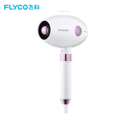 飞科（FLYCO）电吹风机 1800w FH6285