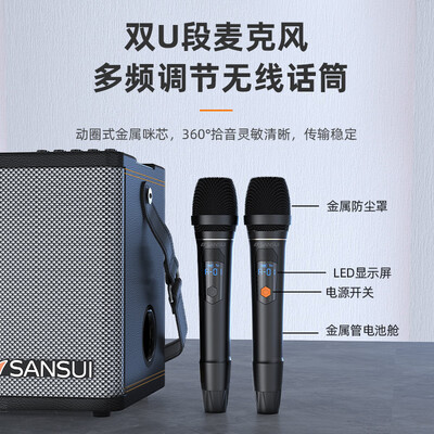 山水SS190户外K歌音响广场舞音响好不好（山水广场舞音响不读优盘怎么办）-图片3