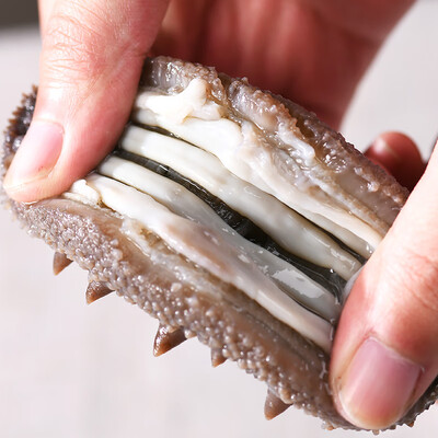 官参堂海参怎么样(官参堂辽刺参海鲜简装1斤7-10只即食海参评测说真相)-图片1