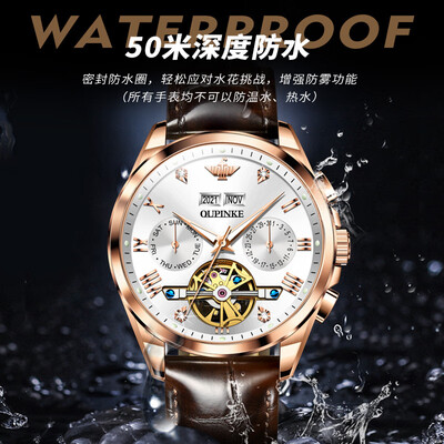 欧品客3186机芯怎么样（欧品客opk3186皮带机械手表体验效果好吗）