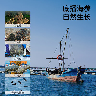 同仁堂淡干海参端午礼盒到底如何,值得入手吗(同仁堂淡干海参怎么样)