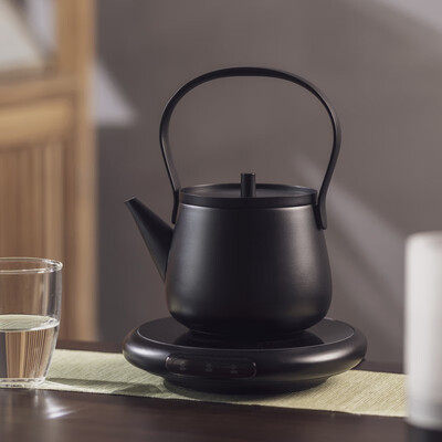 电陶炉和煮茶炉的区别(小坐电陶炉XZ-Z8迷你煮茶炉光波炉评测说真相)-图片4