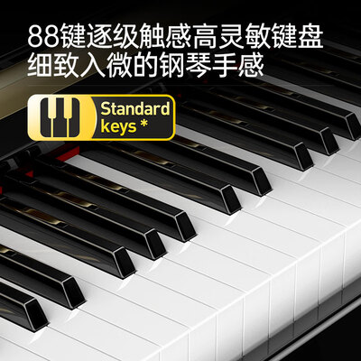 特伦斯ST-8819电钢琴好不好（特伦斯电钢琴是什么档次）