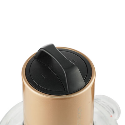 乐扣乐扣（LOCK&LOCK）多功能绞肉机  EJM177GOD  金色