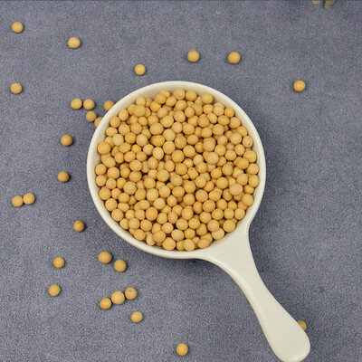 长岭尖 黄豆400g 袋装