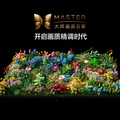 小米L65MA-SM电视机质量如何（小米电视机黑屏是怎么回事）-图片6