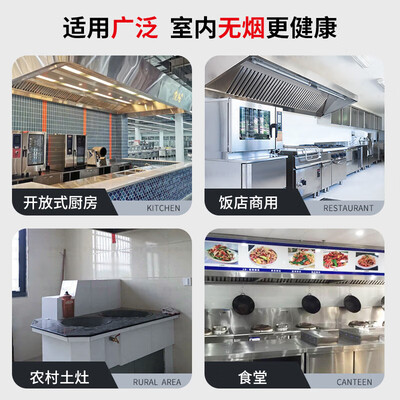 路易皇冠 商用抽油烟机 880W单风机油烟净化器评测说真相（路易皇冠油烟净化器是哪个公司）-图片2