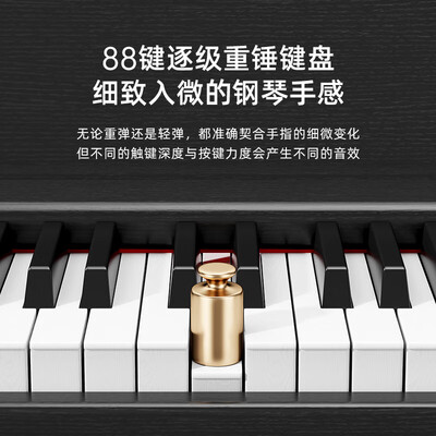 贝琪B353电钢琴怎么样（贝琪电钢琴哪个型号好）