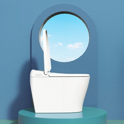 京东京造和大白智能马桶哪个好（京东京造JZ-ZNZBQM14智能马桶值得手入吗）