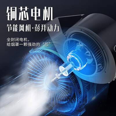 路易皇冠油烟机1200W单风机商用一体机油烟净化器怎么样(路易皇冠油烟净化器是哪个公司)-图片3