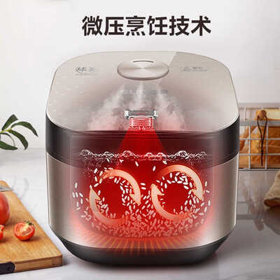 苏泊尔（SUPOR）电饭煲 SF40HC69 4L