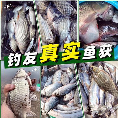 台钓竿和综合竿有什么区别（台钓竿是否值得入手）-图片2
