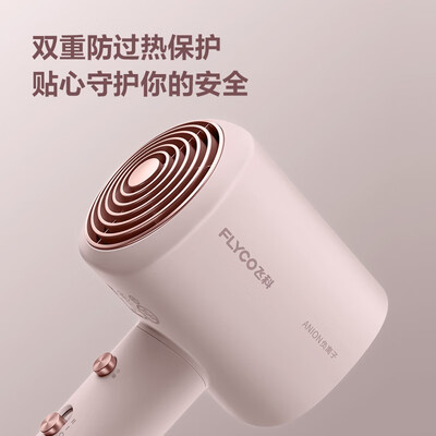 飞科（FLYCO）电吹风机家用 FH6356