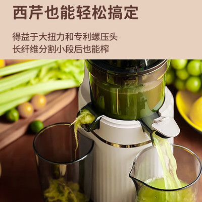 大宇DY-BM07原汁机到底怎么样，六大优势你知道吗？