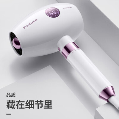 飞科（FLYCO）电吹风机 1800w FH6285